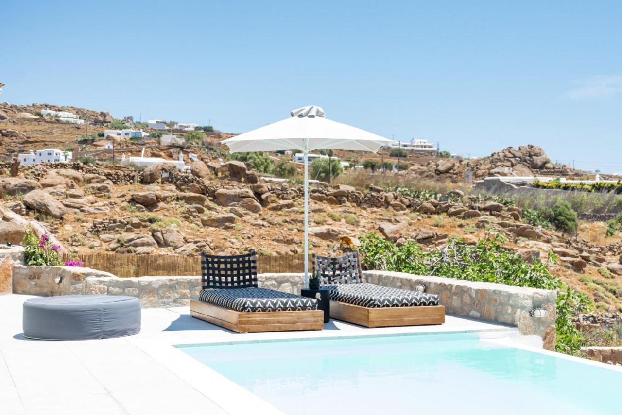 Dioni Villa Mykonos Paraga  Extérieur photo