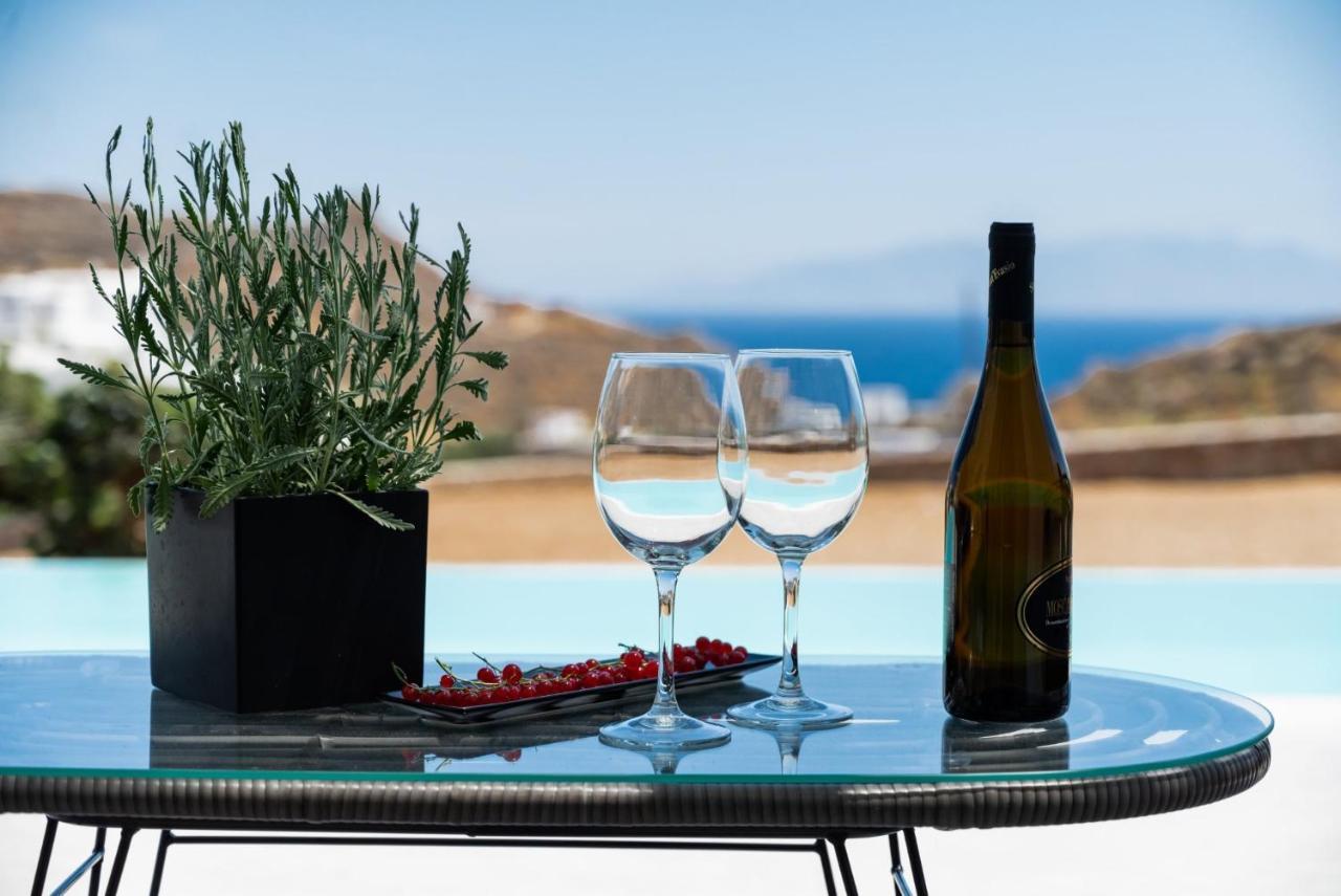 Dioni Villa Mykonos Paraga  Extérieur photo
