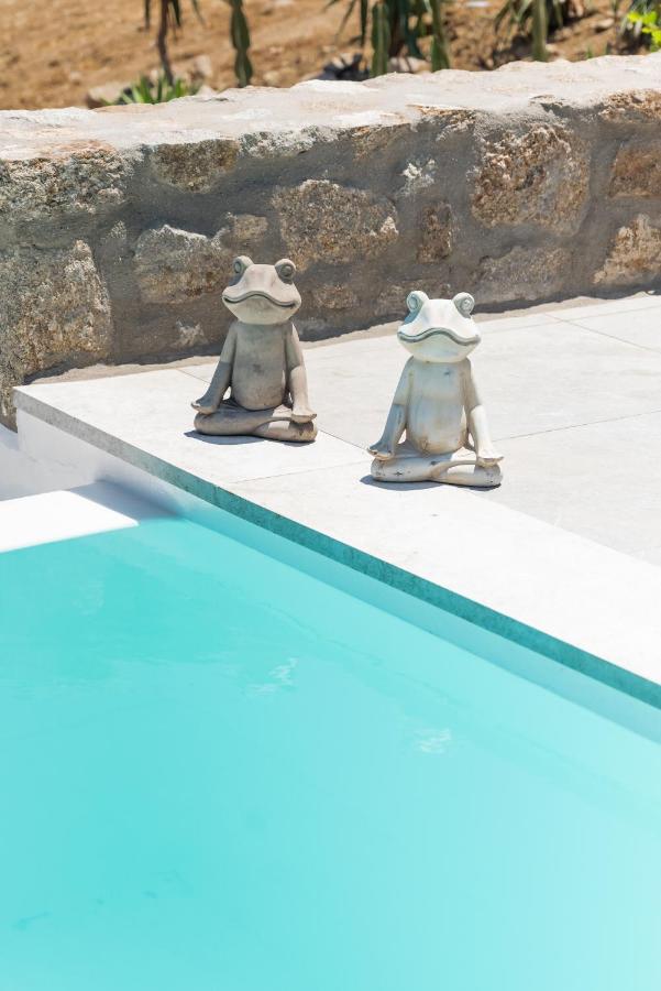 Dioni Villa Mykonos Paraga  Extérieur photo