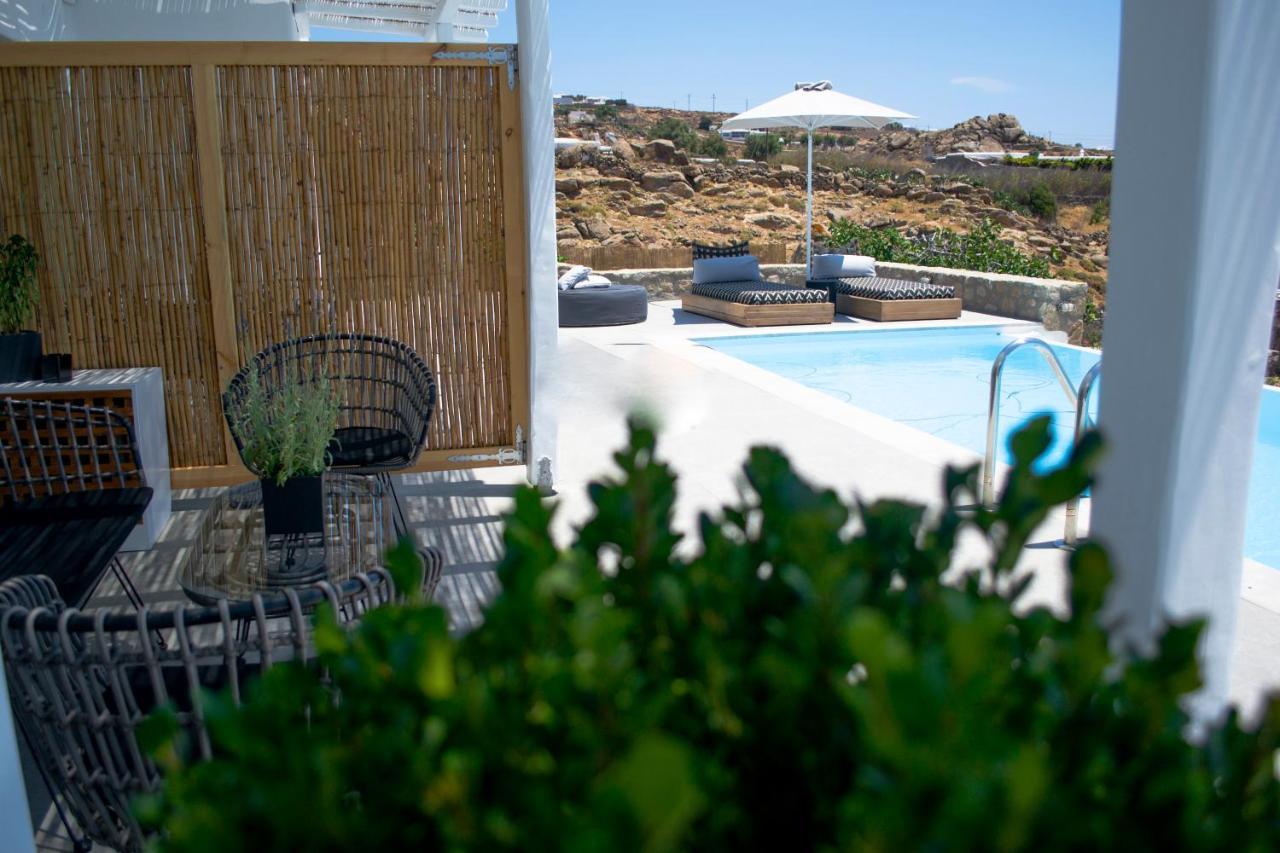 Dioni Villa Mykonos Paraga  Extérieur photo