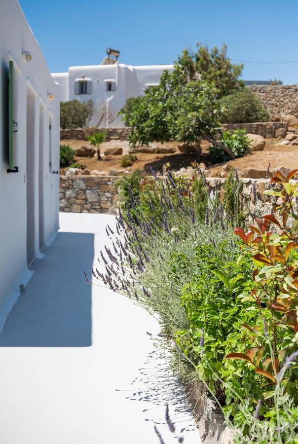 Dioni Villa Mykonos Paraga  Extérieur photo